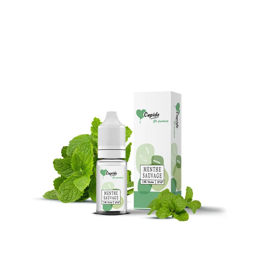 Menthe Sauvage