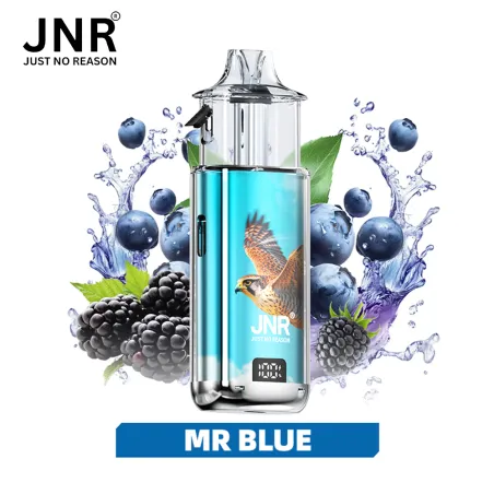 Mr Blue