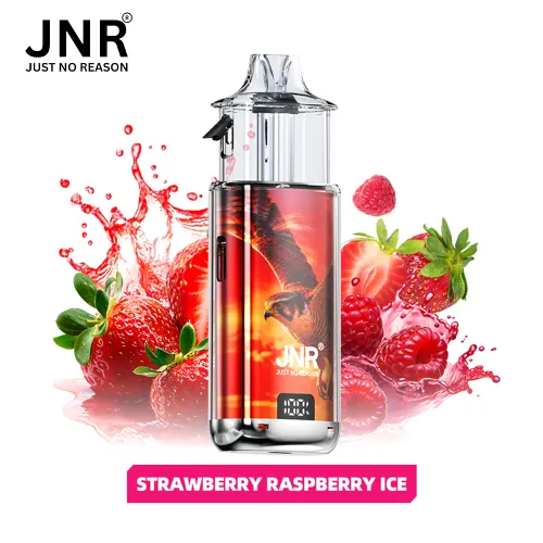 Strawberry Raspberry Ice
