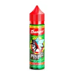 Mosquito