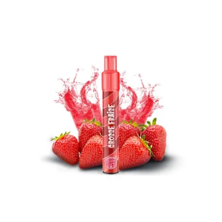 Kit Grosse Fraise 800 Puffs 2.0
