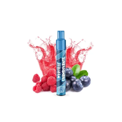 Kit Myrtille Framboyante 800 Puffs 2.0