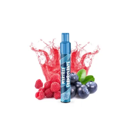 Kit Myrtille Framboyante 800 Puffs 2.0